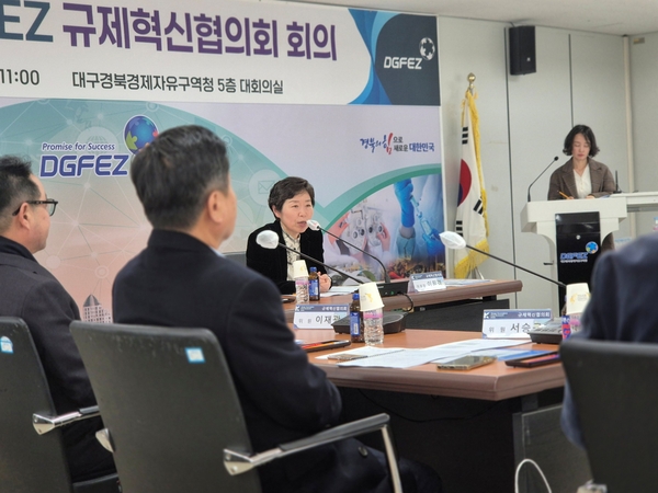 DGFEZ Holds its 5th Regulatory Innovation Council Meeting 