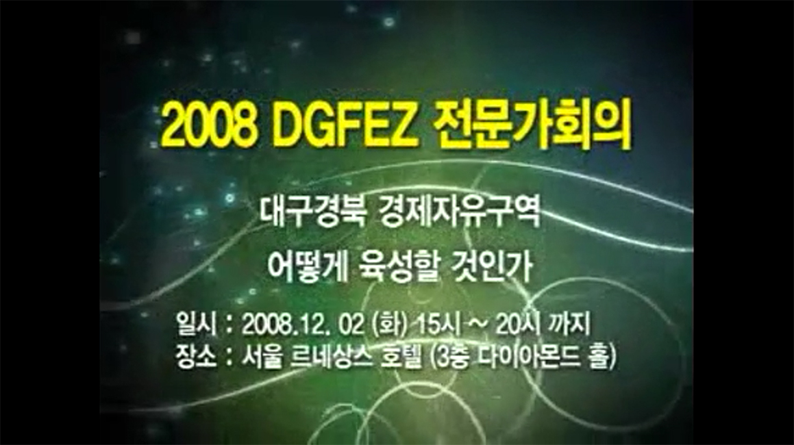 2008DGFEZ전문가회의